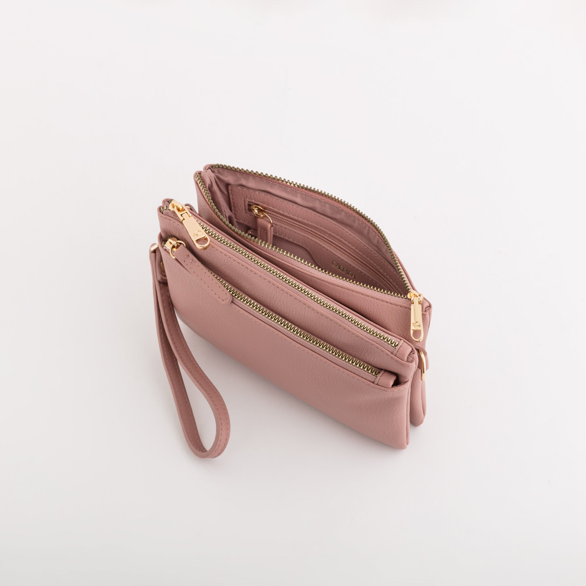 Tracollina Donna - Quebec v1 Cipolla