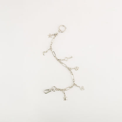 Catena decorativa - Everest chain Argento