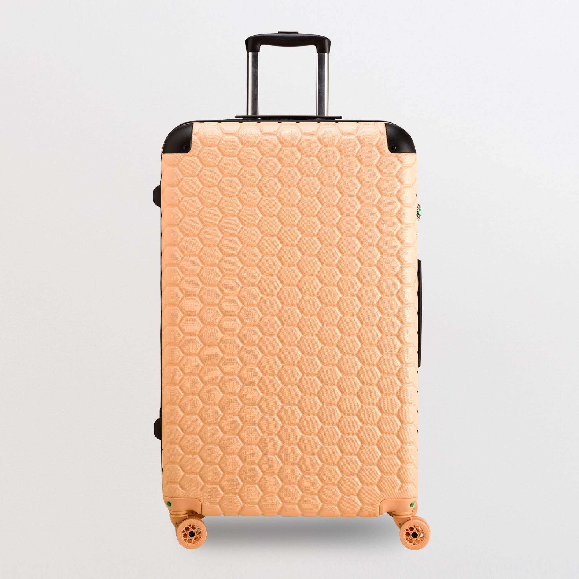 Trolley L - Rigido - Gotech green Pesca