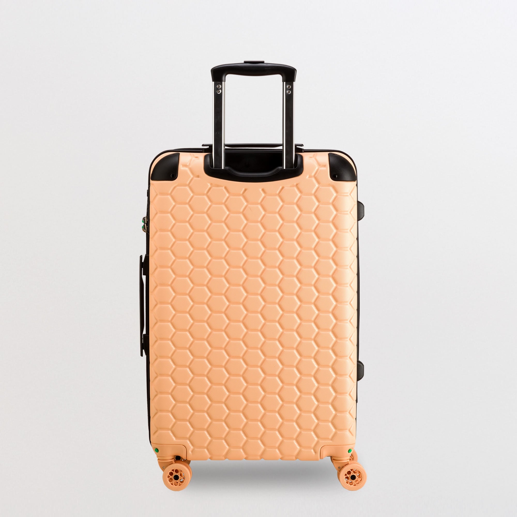 Trolley M - Rigido - Gotech green Pesca