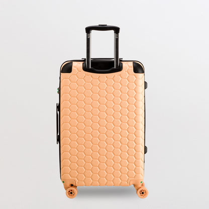 Trolley M - Rigido - Gotech green Pesca