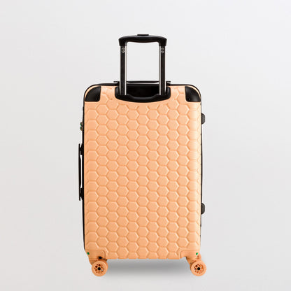 Trolley M - Rigido - Gotech green Pesca