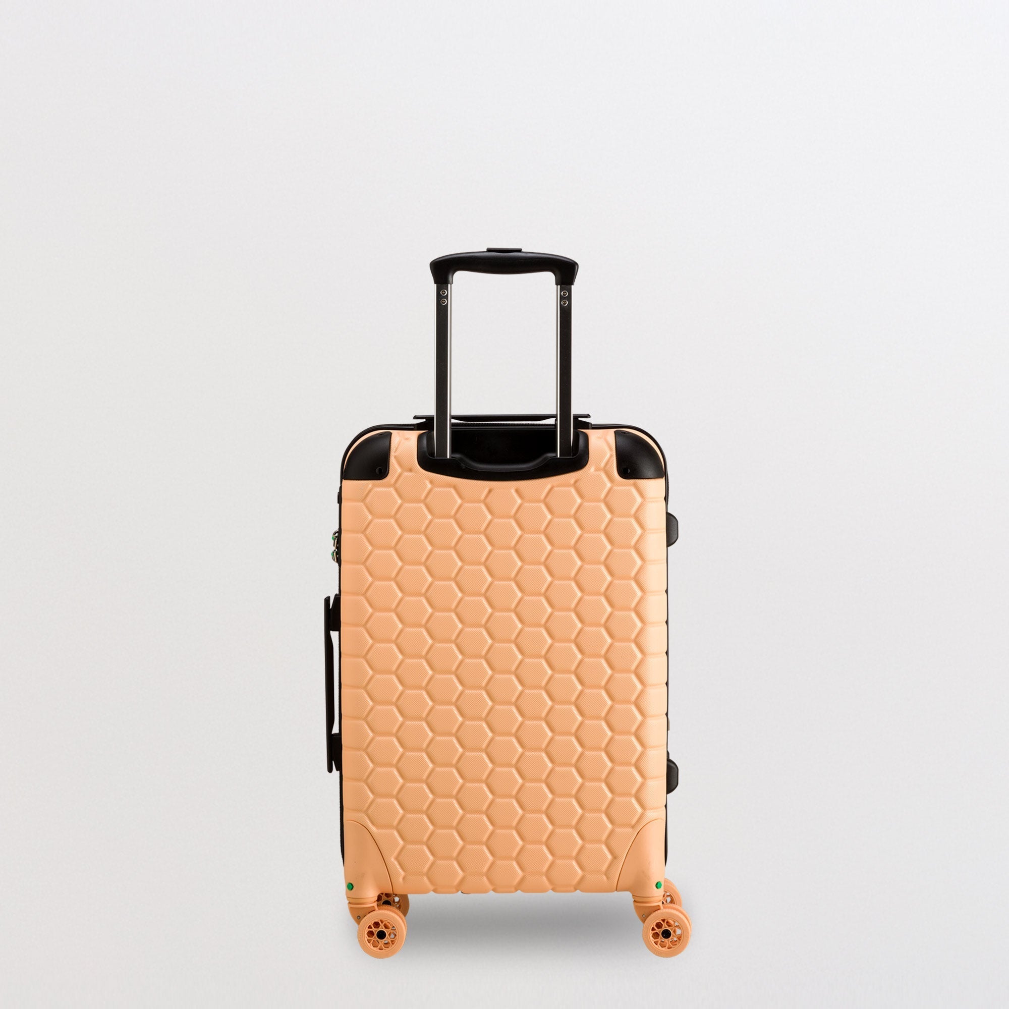 Trolley S - Rigido - Gotech green Pesca